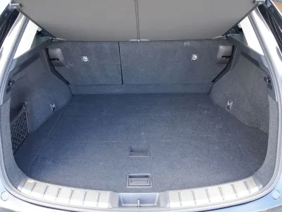 NX 350h